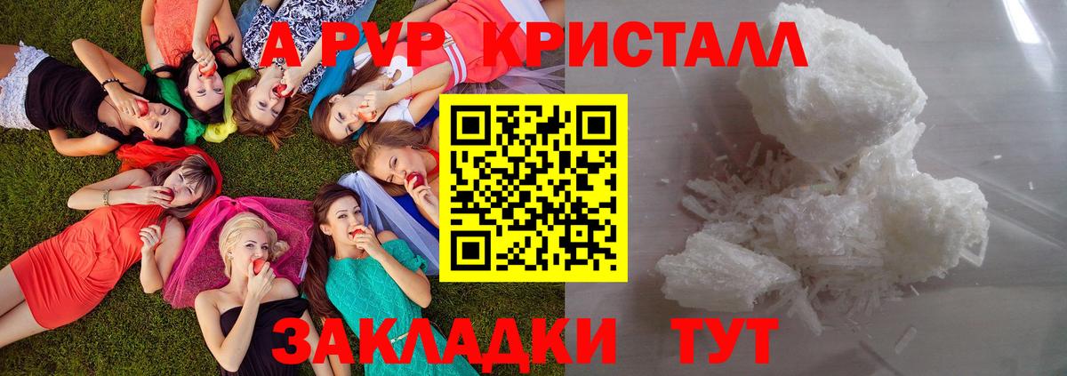 А ПВП СК КРИС Абинск