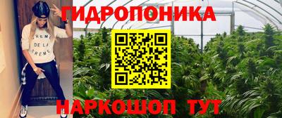 шишки Гусь-Хрустальный
