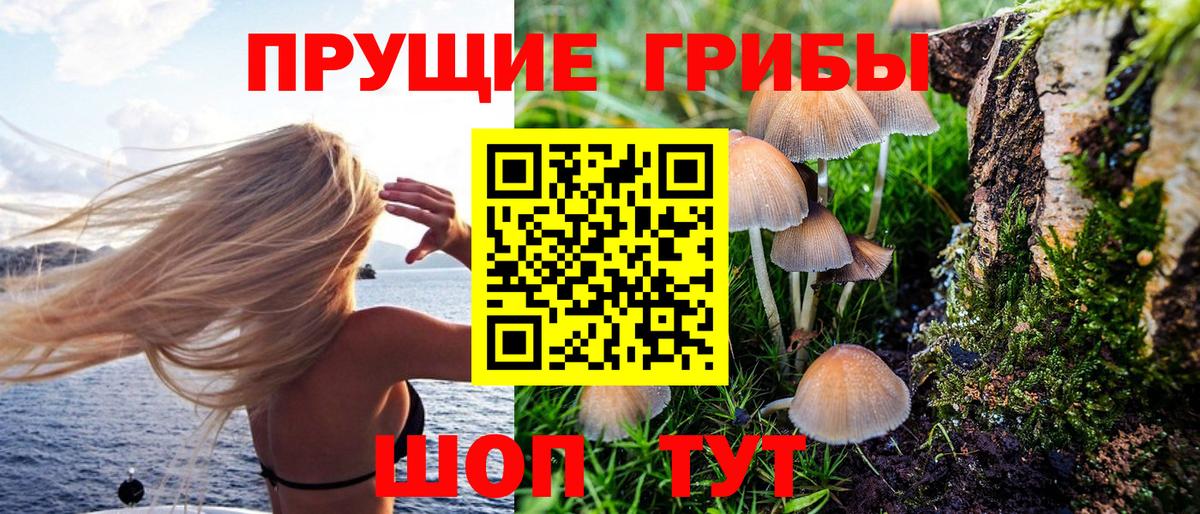 Абинск  Галлюциногенные грибы Magic Shrooms  Вход с VPN  Галлюциногенные грибы прущие грибы 