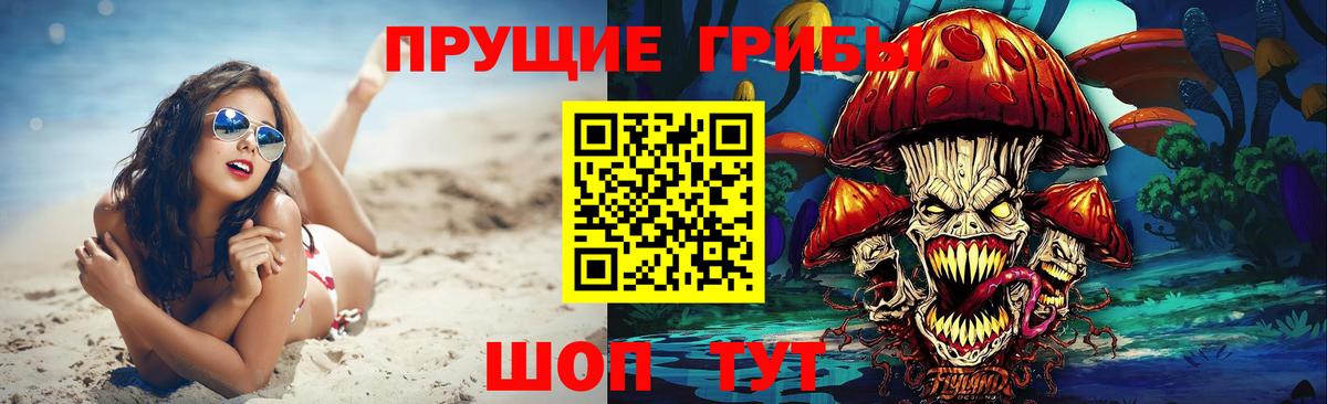 Галлюциногенные грибы GOLDEN TEACHER Абинск